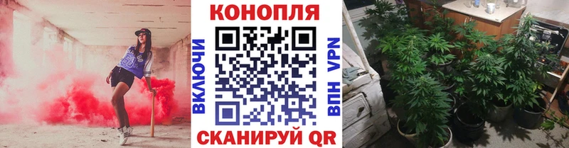 Где купить Карабулак Каннабис  Alpha PVP  Меф 