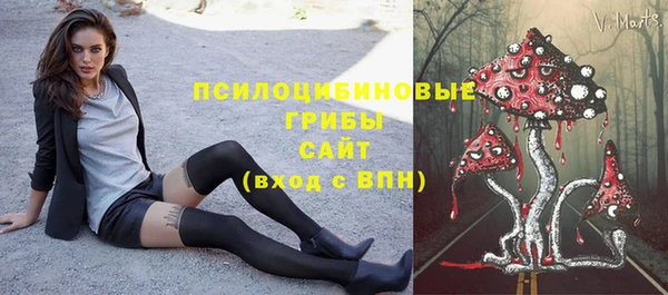 дурь Алексеевка