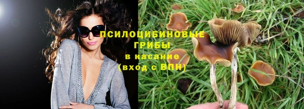 дурь Алексеевка