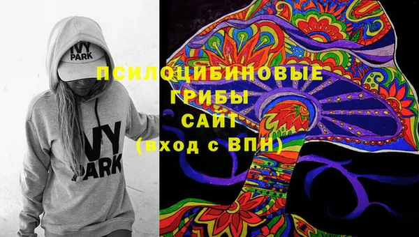 прущая мука Алзамай