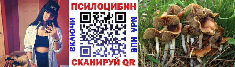 KRAKEN как зайти  Карабулак  Галлюциногенные грибы MAGIC MUSHROOMS 